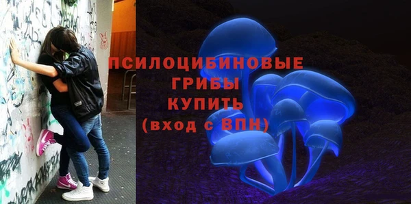 таблы Алексин