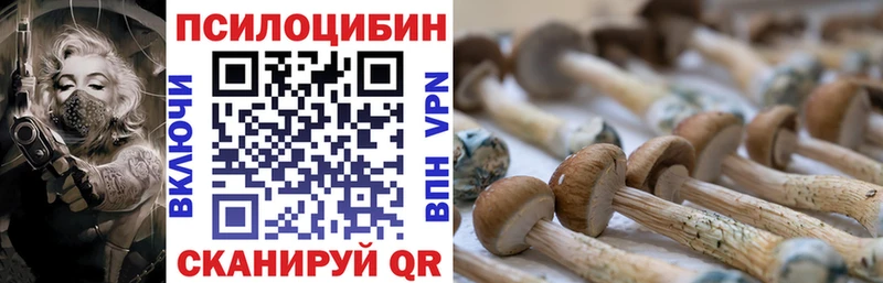 Псилоцибиновые грибы Cubensis  Беслан 
