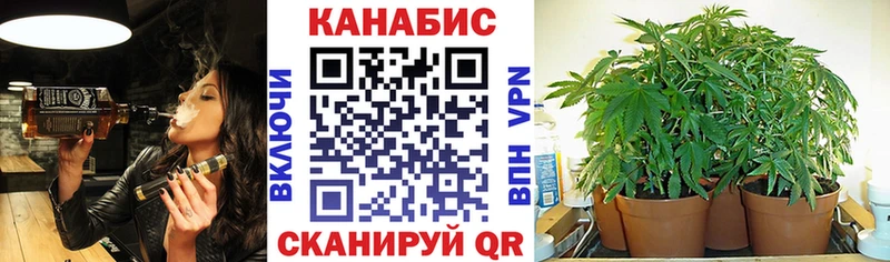 shop как зайти  дарнет шоп  Беслан  Бошки Шишки тримм 